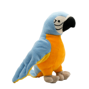 Boris The Blue Parrot devant
