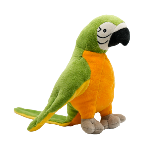 Garry the Green Parrot front