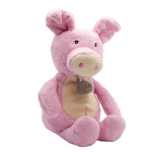Polly the Pink Pig front